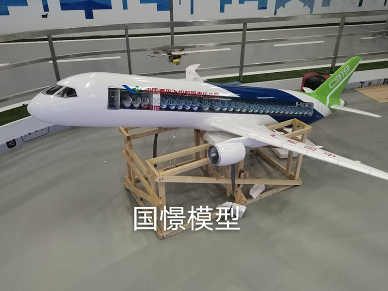 万宁市飞机模型